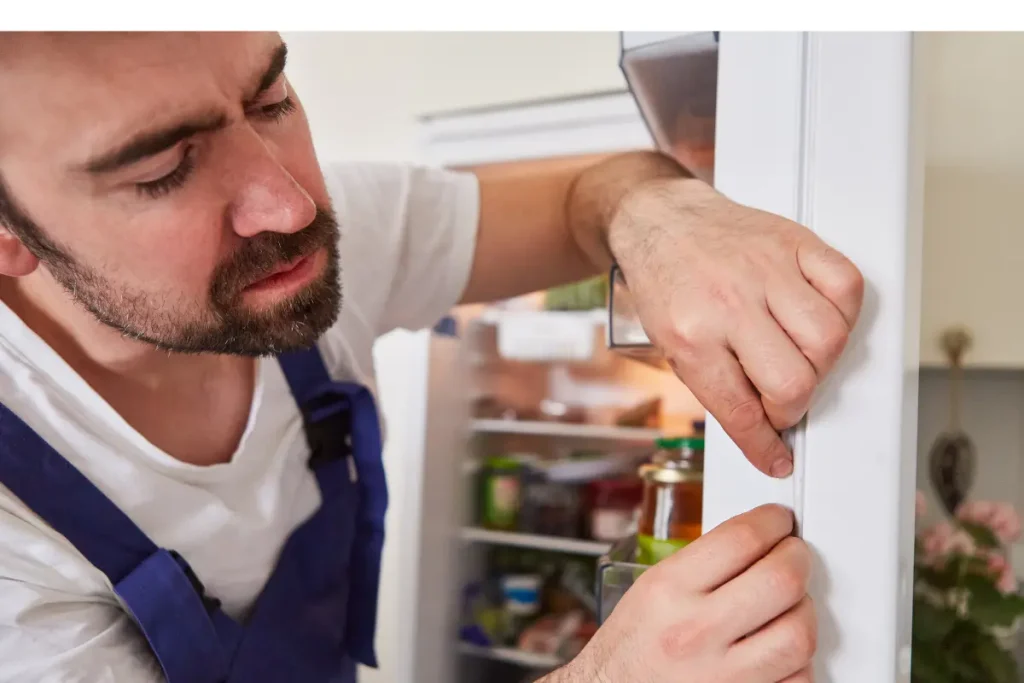 How to Tell if You Need Repair for Freezer Door Seal